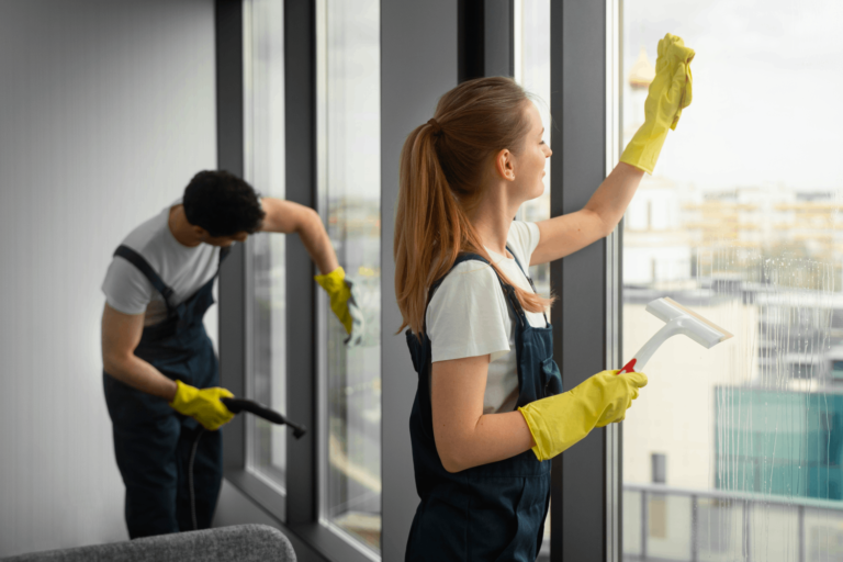 WIndows Cleaning Service